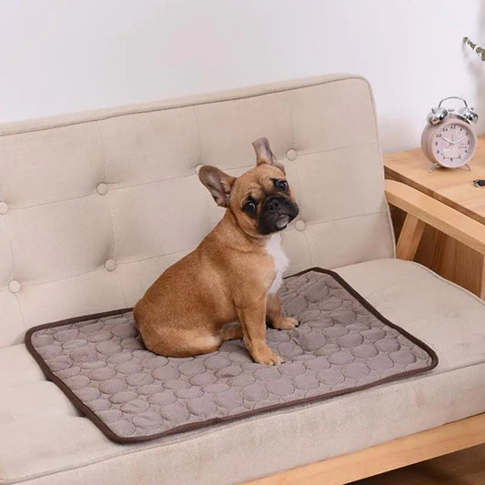 Cooling Dog Mat