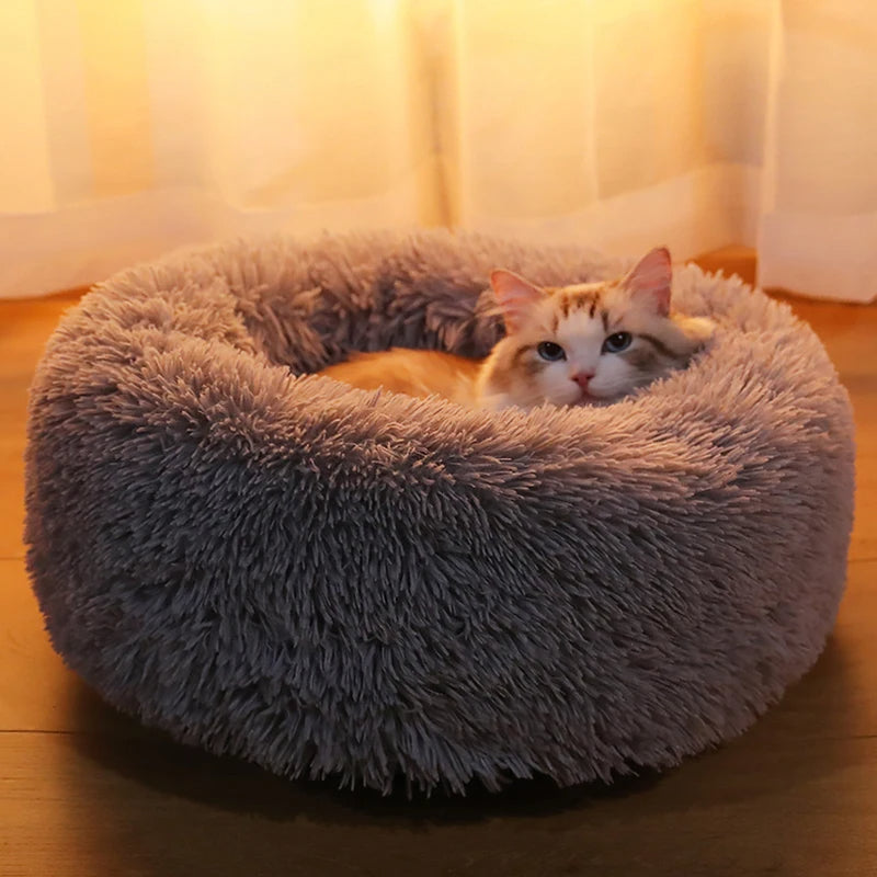 Cozy Pet Bed